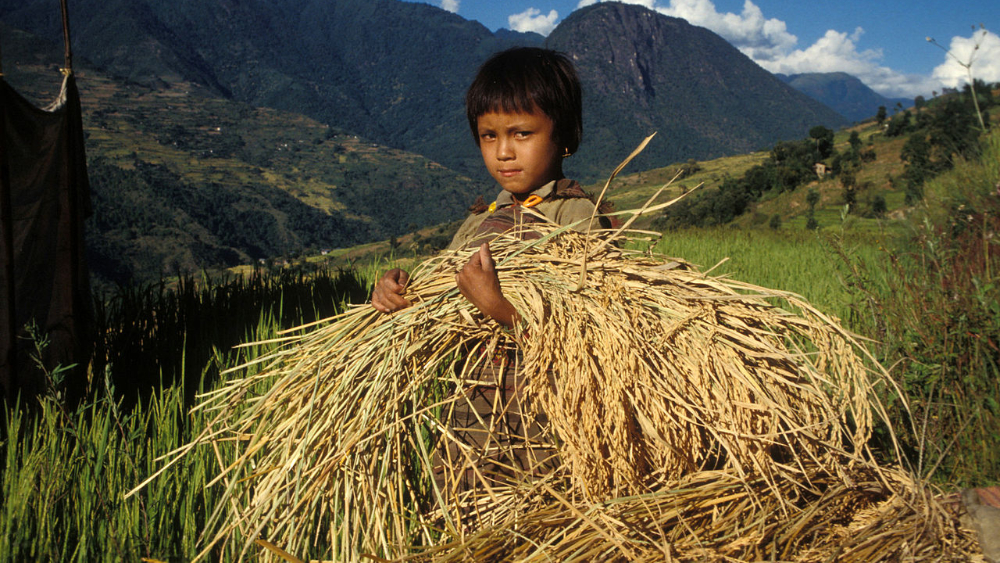 Child laborer